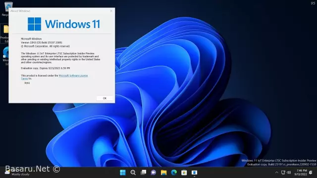 Windows 11 Enterprise LTSC 2024 Build-26100.1742