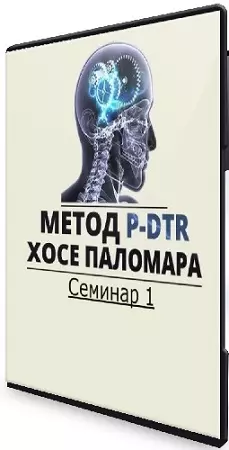 Николай Струков - Метод P-DTR. Семинар 1 (2024) CAMRip