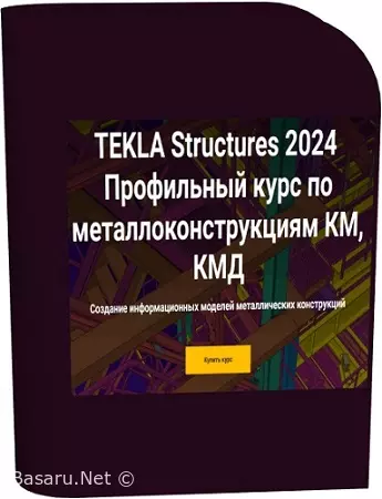 [nip-school] Tekla Structures 2024. Профильный курс по металлоконструкциям КМ, КМД (2025) Видеокурс