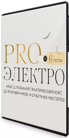 Галина Орлова - ProЭлектро. 6 поток. Тариф Я сама (2026) Видеокурс