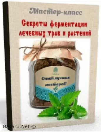 Ирина Бреусова - Секреты ферментации лечебных трав и растений (Видеокурс)